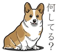Wanko-Biyori Corgi sticker #13862300