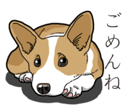 Wanko-Biyori Corgi sticker #13862302