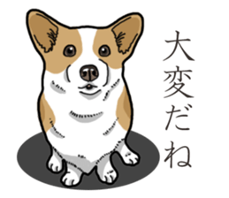 Wanko-Biyori Corgi sticker #13862303