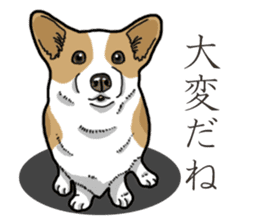 Wanko-Biyori Corgi sticker #13862303