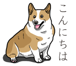 Wanko-Biyori Corgi sticker #13862304