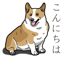 Wanko-Biyori Corgi sticker #13862304