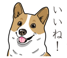 Wanko-Biyori Corgi sticker #13862306
