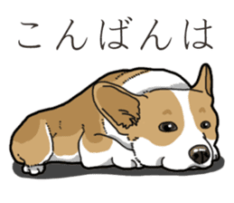 Wanko-Biyori Corgi sticker #13862307