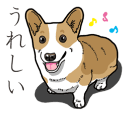 Wanko-Biyori Corgi sticker #13862308