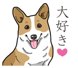 Wanko-Biyori Corgi sticker #13862309