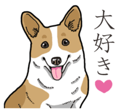Wanko-Biyori Corgi sticker #13862309