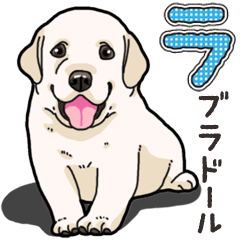 Wanko-biyori puppy Labrador retriever