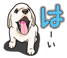 Wanko-biyori puppy Labrador retriever sticker #13864467