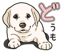 Wanko-biyori puppy Labrador retriever sticker #13864471
