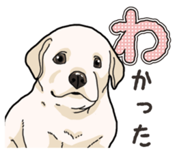 Wanko-biyori puppy Labrador retriever sticker #13864475