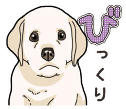 Wanko-biyori puppy Labrador retriever sticker #13864479