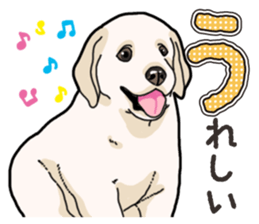 Wanko-biyori puppy Labrador retriever sticker #13864494