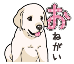 Wanko-biyori puppy Labrador retriever sticker #13864499