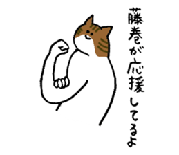 Cat's name is Fujimaki sticker #13864592