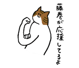 Cat's name is Fujimaki sticker #13864592