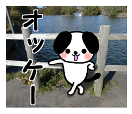 Dog and picture sticker #13864696
