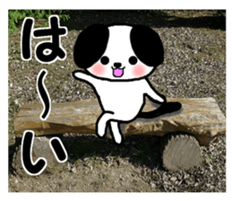 Dog and picture sticker #13864699