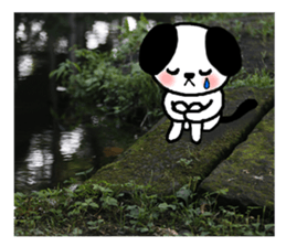 Dog and picture sticker #13864700