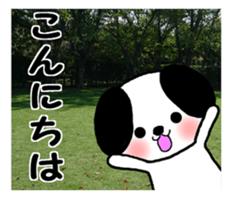 Dog and picture sticker #13864702