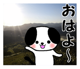 Dog and picture sticker #13864704