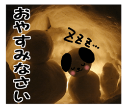 Dog and picture sticker #13864705