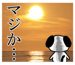 Dog and picture sticker #13864706