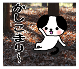 Dog and picture sticker #13864707