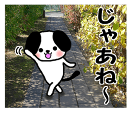 Dog and picture sticker #13864709