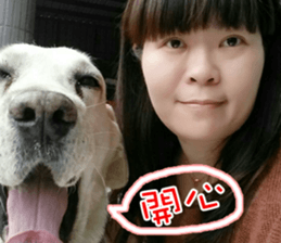 Dog so cute 1 sticker #13865877