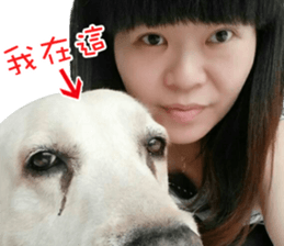 Dog so cute 1 sticker #13865884