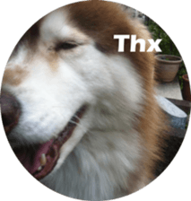 Alaskan Husky - DiDi's Daily life sticker #13866422