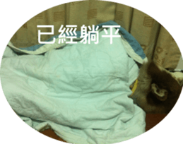 Alaskan Husky - DiDi's Daily life sticker #13866430