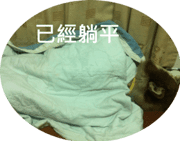 Alaskan Husky - DiDi's Daily life sticker #13866430