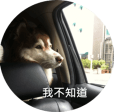 Alaskan Husky - DiDi's Daily life sticker #13866437
