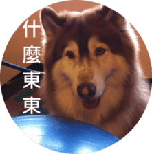 Alaskan Husky - DiDi's Daily life sticker #13866457