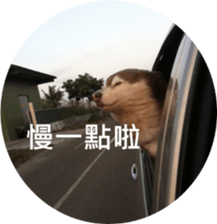 Alaskan Husky - DiDi's Daily life sticker #13866460