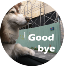 Alaskan Husky - DiDi's Daily life sticker #13866461