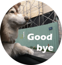 Alaskan Husky - DiDi's Daily life sticker #13866461