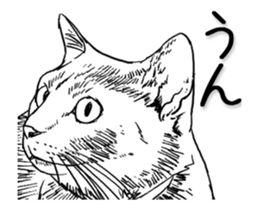 Morphing cat sticker #13866582