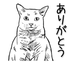 Morphing cat sticker #13866583