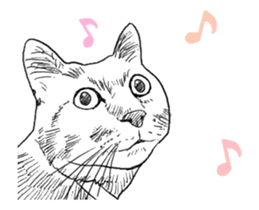 Morphing cat sticker #13866584