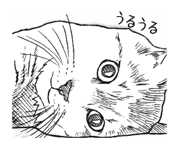 Morphing cat sticker #13866585