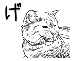 Morphing cat sticker #13866586