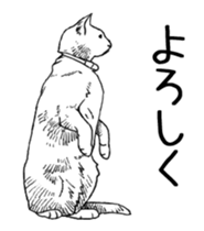 Morphing cat sticker #13866588