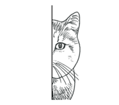 Morphing cat sticker #13866590