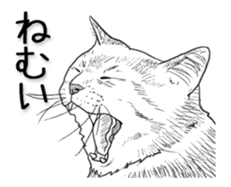 Morphing cat sticker #13866591