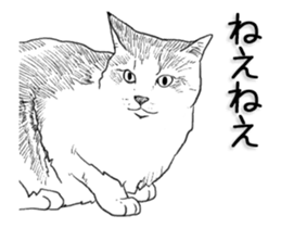 Morphing cat sticker #13866592