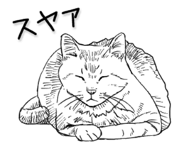 Morphing cat sticker #13866593