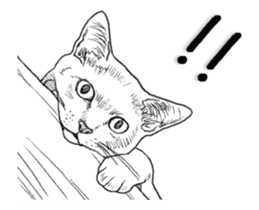 Morphing cat sticker #13866594